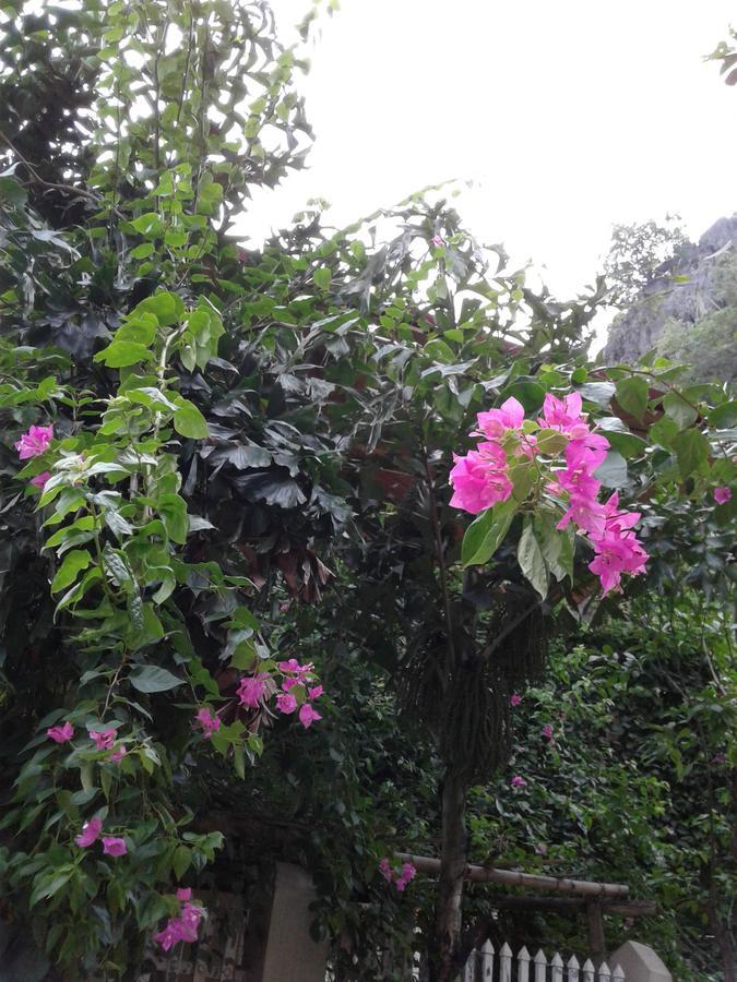 Tam Coc Riverside Homestay Ninh Binh Exterior foto