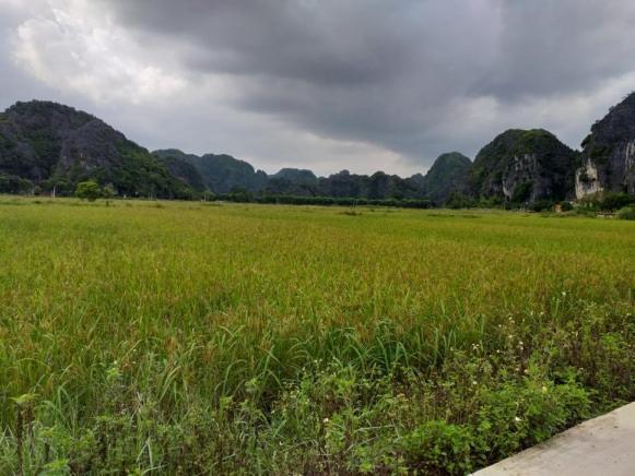 Tam Coc Riverside Homestay Ninh Binh Exterior foto